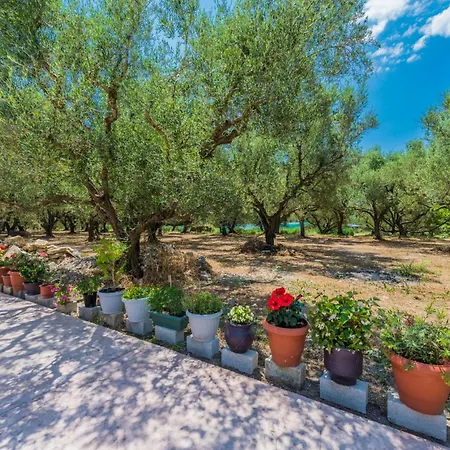 Olive Grove House By Elite * Kypseli